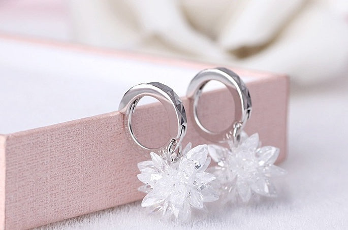 Korean Beauty Ice Sparkling Earrings